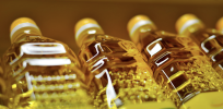 Unpacking RFK, Jr.’s claims: Are canola, soy bean and safflower oil feeding the obesity epidemic and poisoning America?